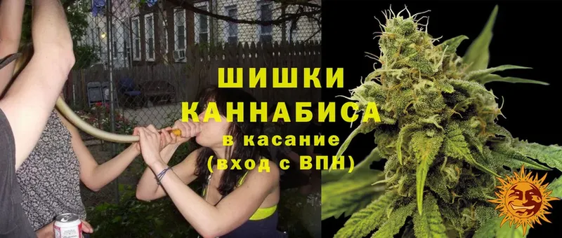 Каннабис Bruce Banner  цена   Ак-Довурак 